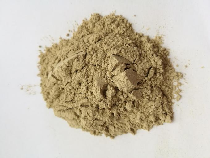freeze dried Sea Cucumber Powder, pure Sea Cucumber Powder, Sea